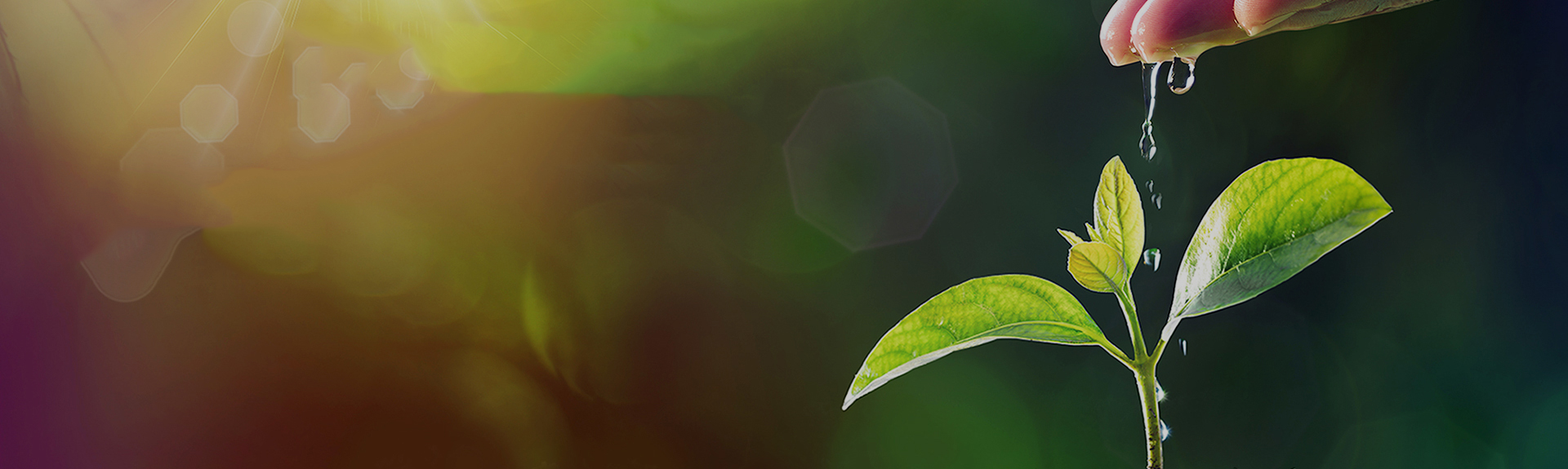 中国·银河集团(galaxy)有限公司-官方网站