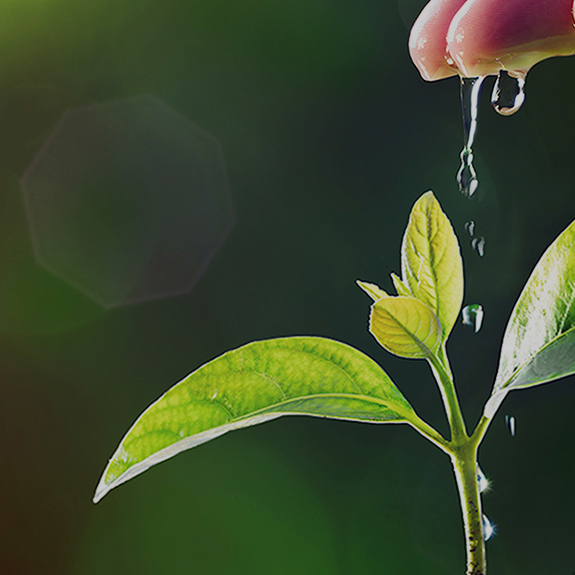 中国·银河集团(galaxy)有限公司-官方网站