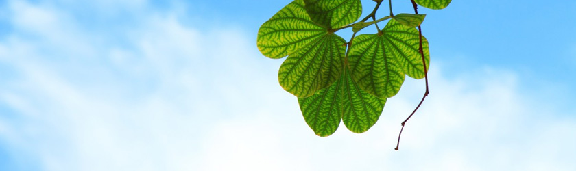 中国·银河集团(galaxy)有限公司-官方网站